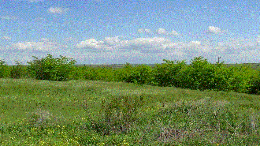 старатель